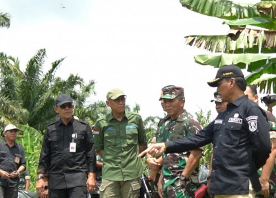 65 Ribu Hektare Lahan Rawa di OKI Dioptimasi