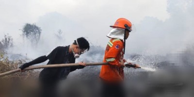 Enam Perusahaan Diawasi, Pemkab OKI Verifikasi Area Terbakar