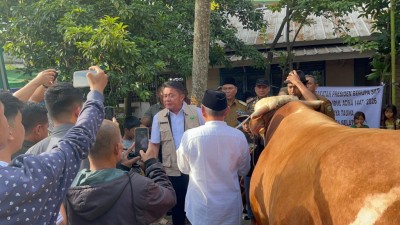 Gubernur Sumsel Herman Deru Serahkan Langsung Sapi Kurban Presiden ke Masjid Taqwa