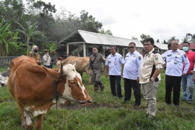 OKI Siaga PMK Jelang Idul Adha