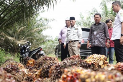 Pemkab Muba Dorong Pengembangan Ekonomi…