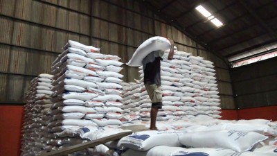 Pengadaan Beras Melimpah, Bulog Sumsel Babel…
