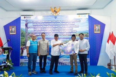 Sumbang Devisa, Tambak Udang OKI Dipasok…