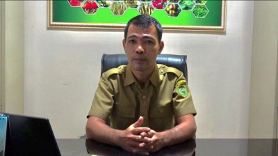 Sumsel Fokus Peremajaan Kelapa, Dorong Petani…