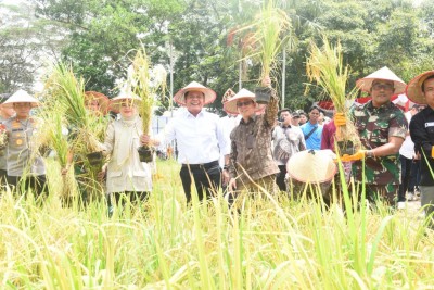 Sumsel Raih Apresiasi Kementan atas Inovasi…