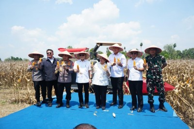 Tuan Rumah Panen Raya Jagung Serentak Kuartal…