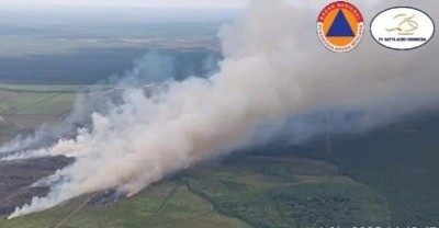 Zona Merah Karhutla Meluas, Tujuh Kabupaten…